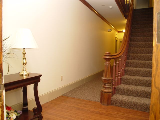 A renovated hallway with a carpeted stair and a lamp on a side table